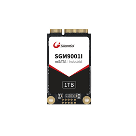 mSATA SSD — SGM9001I 系列