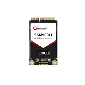 mSATA SSD — SGM9031I Series