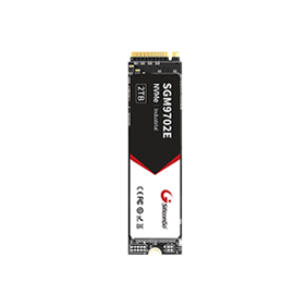 PCIe Gen3x4 M.2 SSD — SGM9702E Series