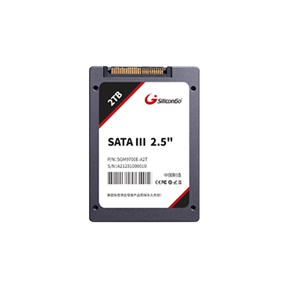 PCIe Gen3x4 U.2 SSD — SGM9700E Series